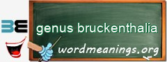 WordMeaning blackboard for genus bruckenthalia